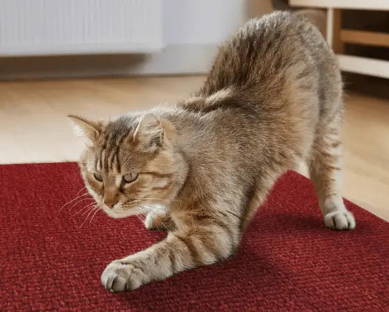 Arranhador Adesivo para Gato – Protetor de Sofá Cama e Móveis em Carpete Premium Caprioli Shop Acessórios Pets VERMELHO