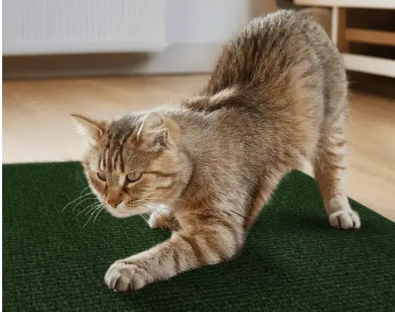 Arranhador Adesivo para Gato – Protetor de Sofá Cama e Móveis em Carpete Premium Caprioli Shop Acessórios Pets