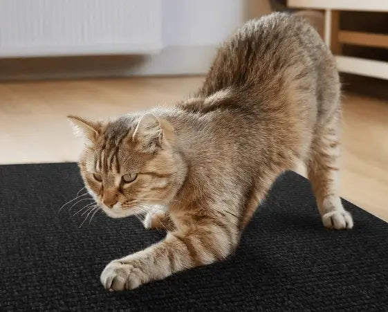 Arranhador Adesivo para Gato – Protetor de Sofá Cama e Móveis em Carpete Premium Caprioli Shop Acessórios Pets