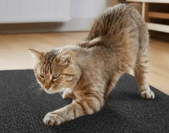 Arranhador Adesivo para Gato – Protetor de Sofá Cama e Móveis em Carpete Premium Caprioli Shop Acessórios Pets