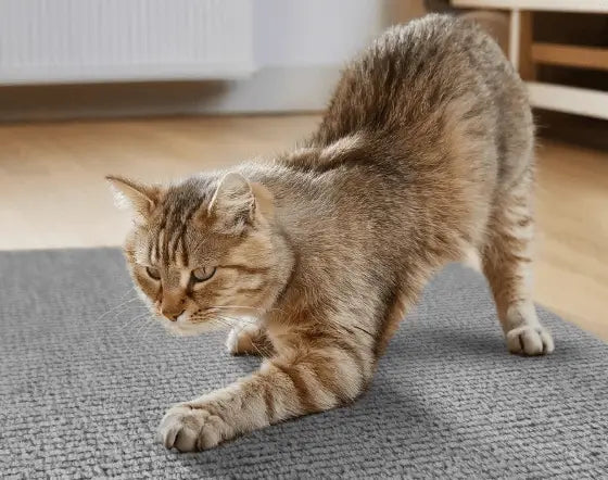 Arranhador Adesivo para Gato – Protetor de Sofá Cama e Móveis em Carpete Premium Caprioli Shop Acessórios Pets