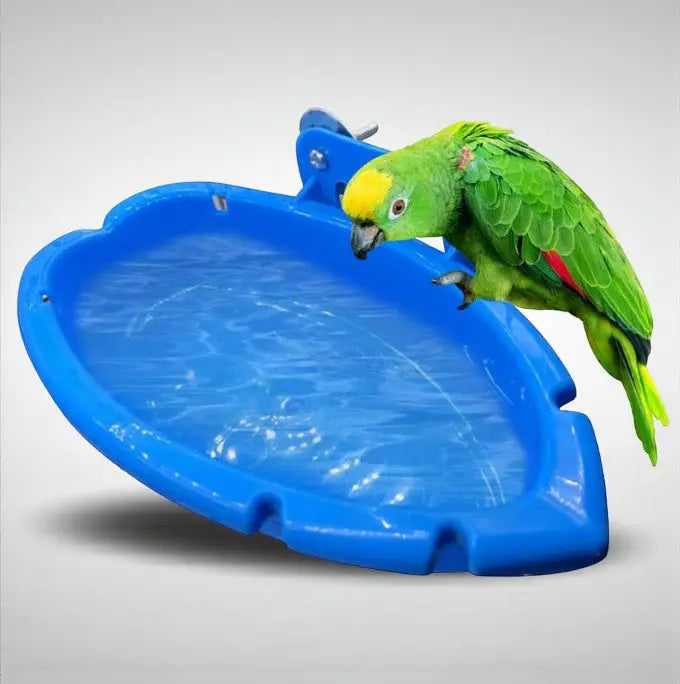 Banheira suspensa para pássaros - Acessórios de gaiola | Caprili Inter - Brinquedos e - Azul