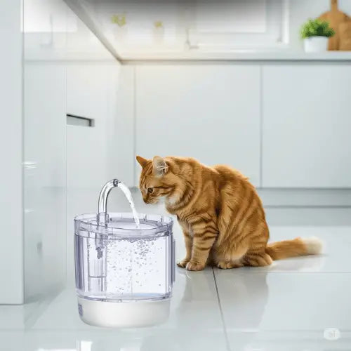 Bebedouro Automático 1,8L com 6 Filtros para Pets | Caprioli Inter bebedouro gato