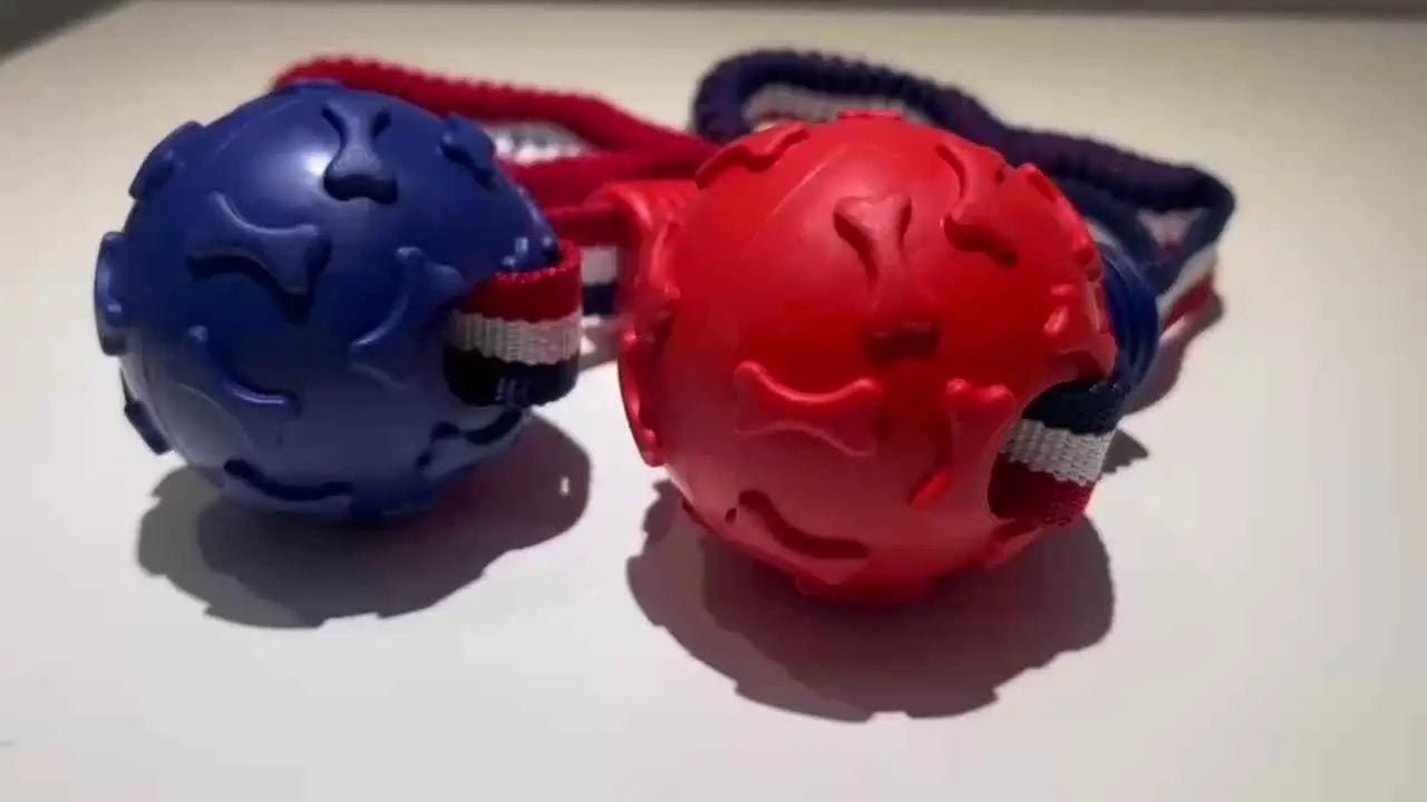 Bola de Brinquedo Resistente para Cães | Caprioli Shop brinquedos cães