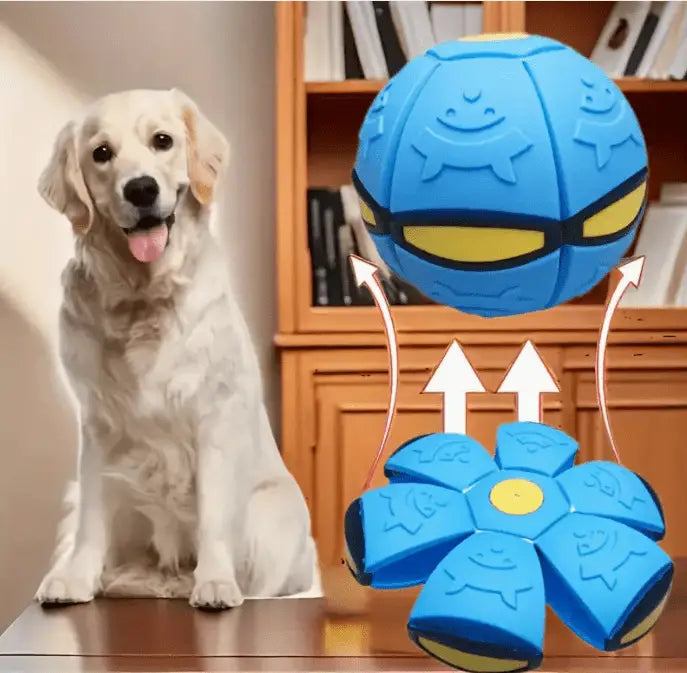 Bola Mágica Interativa para Cães Diversão Luminescente | Caprioli Shop brinquedso cães