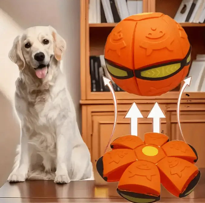 Bola Mágica Interativa para Cães Diversão Luminescente | Caprioli Shop brinquedso cães