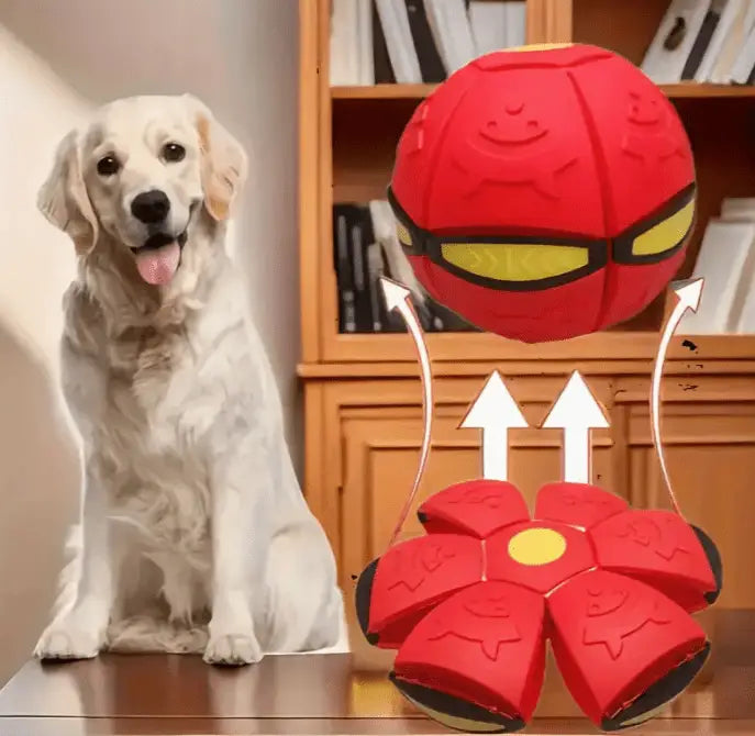 Bola Mágica Interativa para Cães Diversão Luminescente | Caprioli Shop brinquedso cães