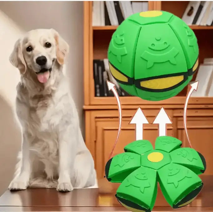 Bola Mágica Interativa para Cães Diversão Luminescente | Caprioli Shop brinquedso cães