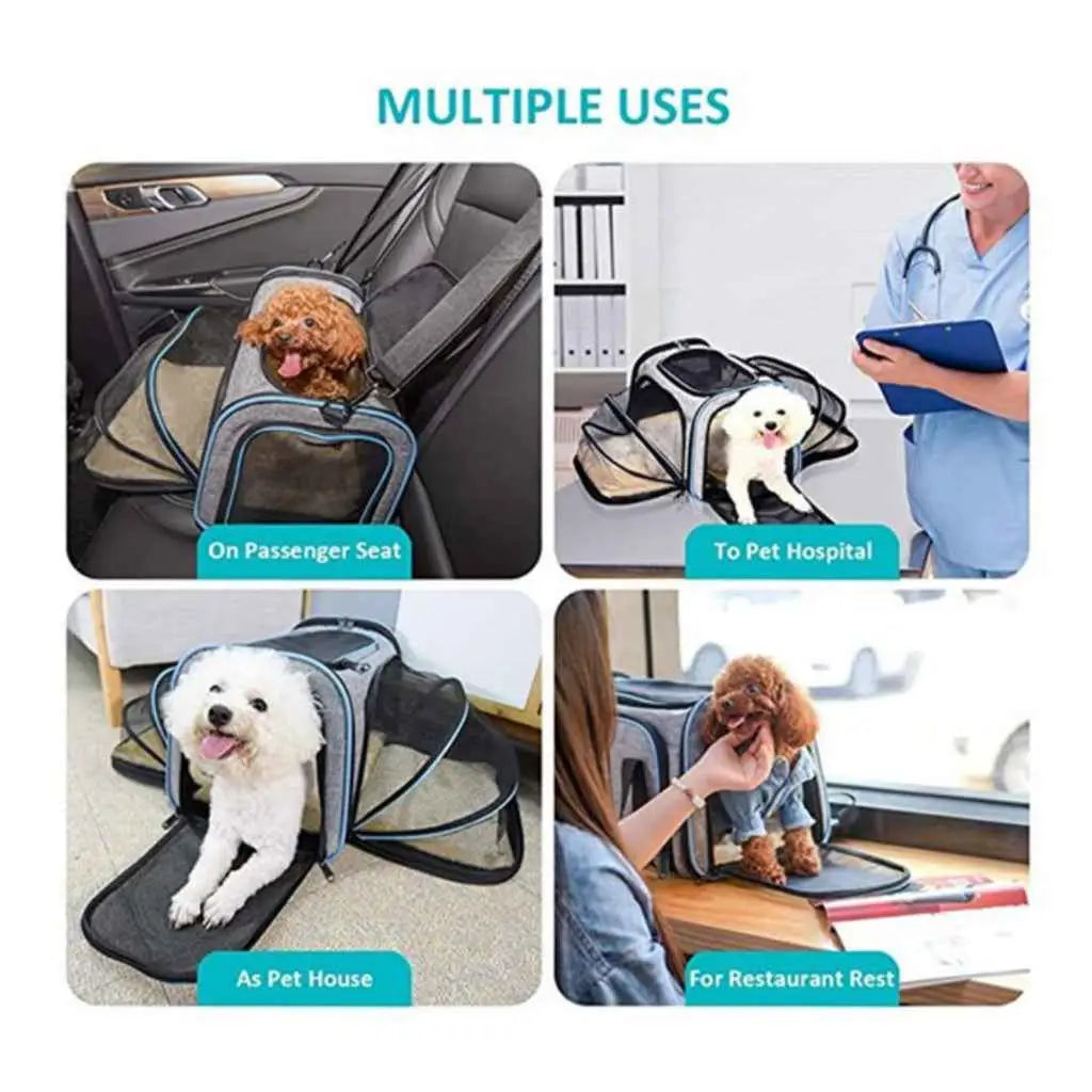 Bolsa Pet Expansível para Viagens Seguras e Confortáveis | Caprioli Shop bolsa de transporte