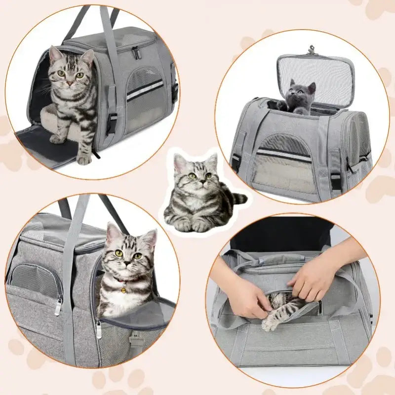 Bolsa de Transporte para Gatos Dobrável Ventilação Conforto e Segurança | Caprioli Inter