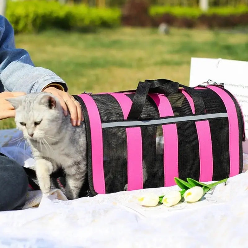 Bolsa Transporte para Gatos Respirável Conforto e Estilo | Caprioli Shop transporte gatos