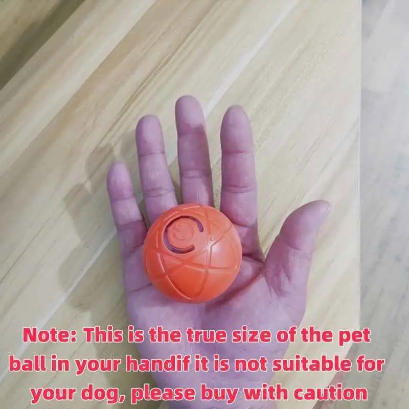 Brinquedo Bola Interativa para Cães Pequenos Inovadora e Recarregável | Caprioli Shop brinquedos cães