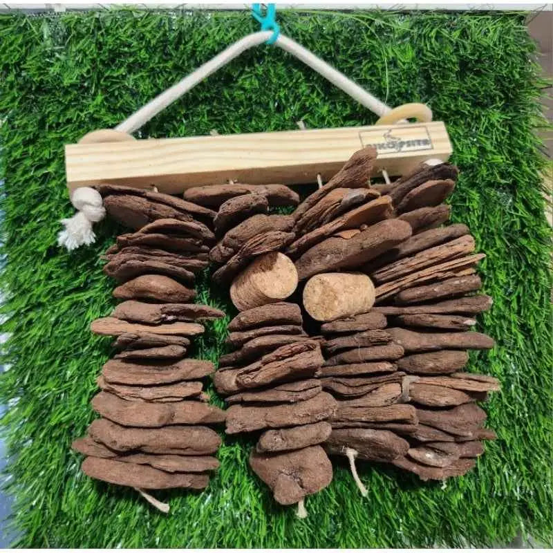 Brinquedo Enriquecimento Ambiental Casca Pinus para Calopsitas | Caprioli Shop brinquedo e acessórios pássaros