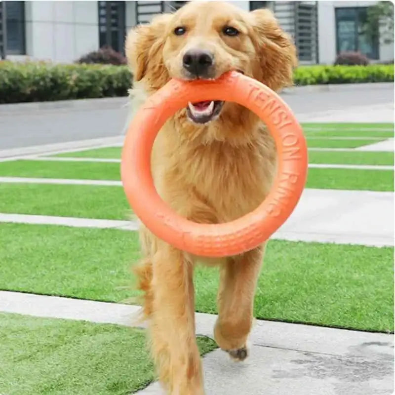 Brinquedo Interativo Disco EVA Resistente Limpa Dentes | Caprioli Inter brinquedo para cachorro