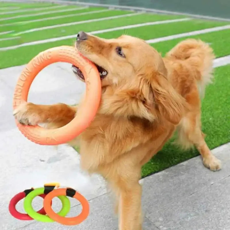 Brinquedo Interativo Disco EVA Resistente Limpa Dentes | Caprioli Inter brinquedo para cachorro