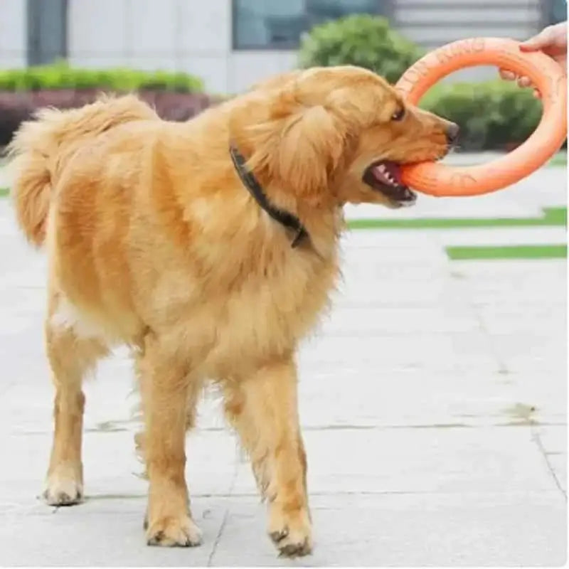 Brinquedo Interativo Disco EVA Resistente Limpa Dentes | Caprioli Inter brinquedo para cachorro