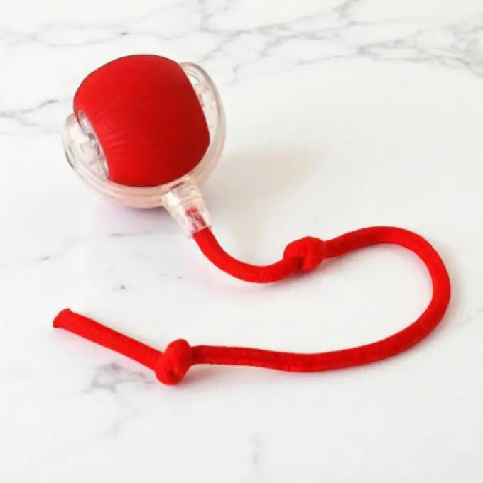 Brinquedo Interativo Gato Bola Elétrica USB Silenciosa | Caprioli Shop brinquedo para gatos de cauda vermelha