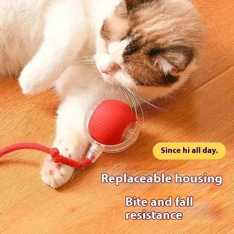 Brinquedo Interativo Gato Bola Elétrica USB Silenciosa | Caprioli Shop brinquedo para gatos