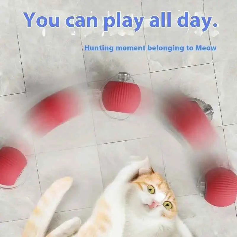 Brinquedo Interativo Gato Bola Elétrica USB Silenciosa | Caprioli Shop brinquedo para gatos