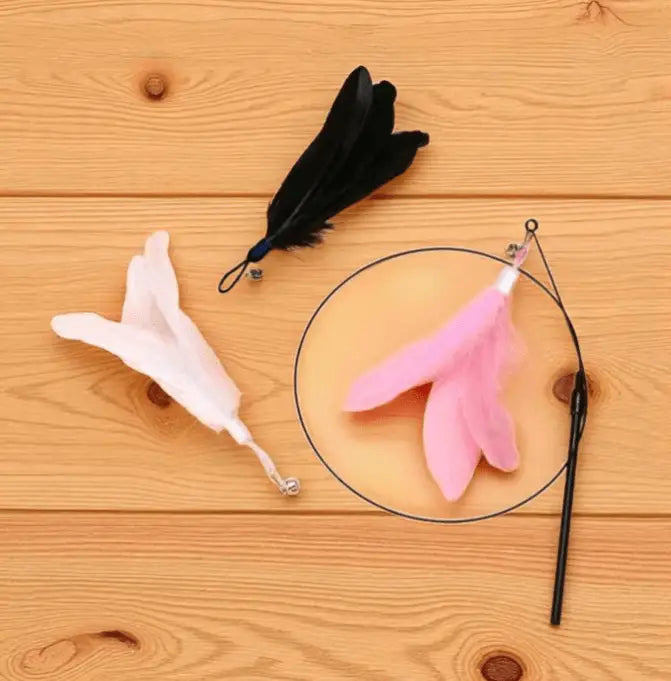Brinquedo Interativo para Gatos Varinha com Pena e Pino em Ferro Caprili Shop