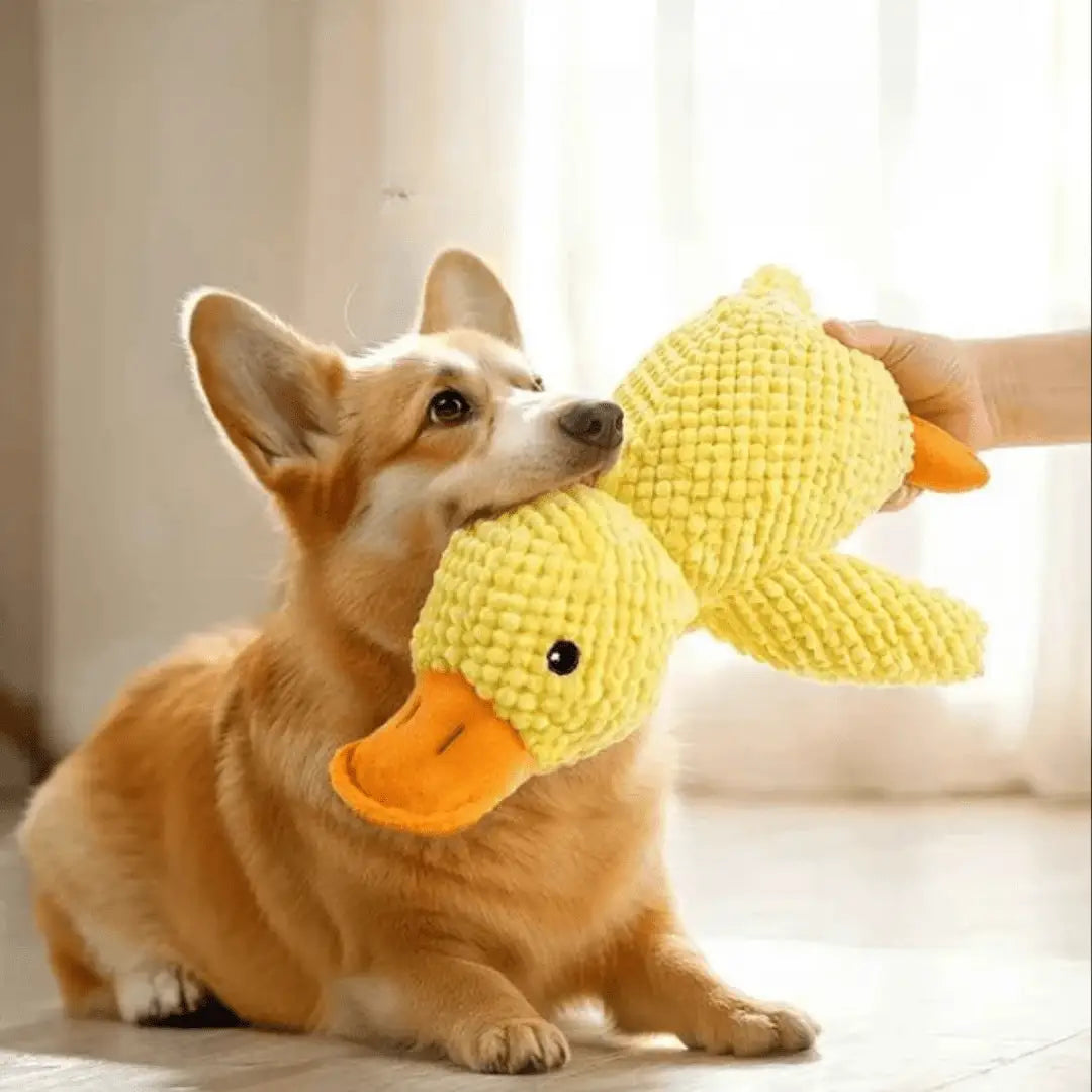 Brinquedo de pelúcia pato para cães Conforto e diversão | Caprioli Inter brinquedo