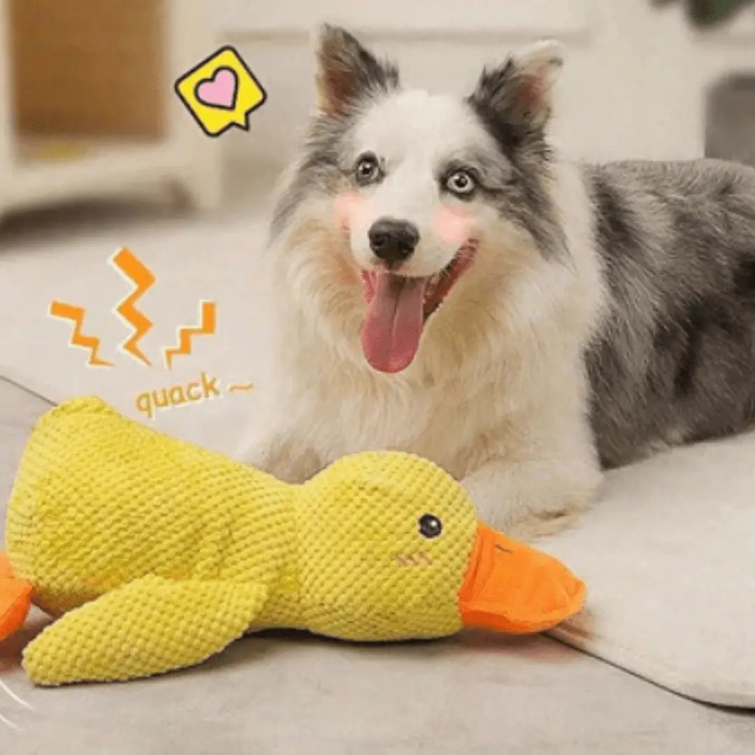 Brinquedo de pelúcia pato para cães Conforto e diversão | Caprioli Inter brinquedo