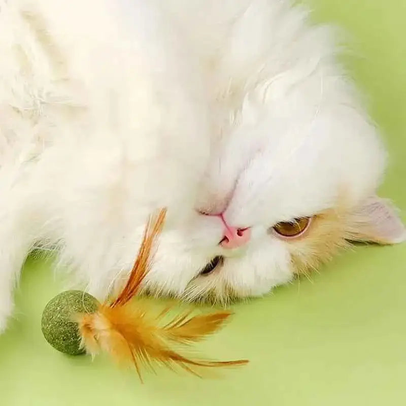 Brinquedos de Catnip para Gatos Saúde e Diversão | Caprioli Shop brinquedos gatos 1PC