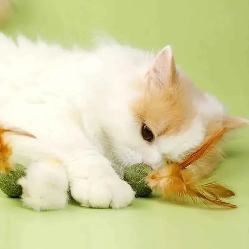 Brinquedos de Catnip para Gatos Saúde e Diversão | Caprioli Shop brinquedos gatos 1PC