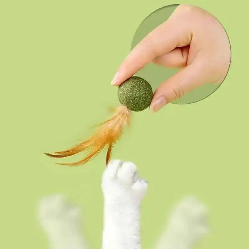 Brinquedos de Catnip para Gatos Saúde e Diversão | Caprioli Shop brinquedos gatos 1PC