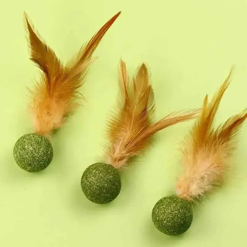 Brinquedos de Catnip para Gatos Saúde e Diversão | Caprioli Shop brinquedos gatos 1PC