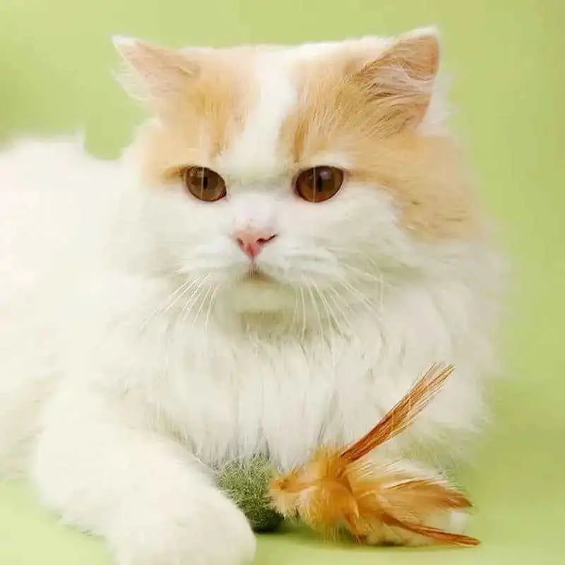 Brinquedos de Catnip para Gatos Saúde e Diversão | Caprioli Shop brinquedos gatos 1PC