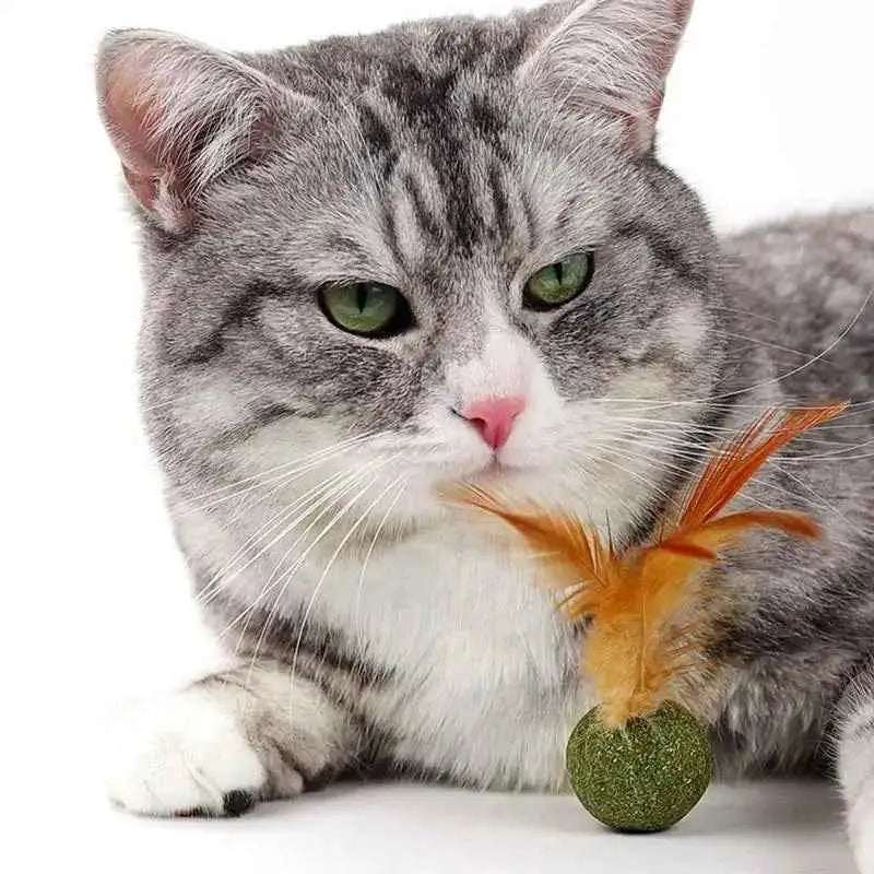 Brinquedos de Catnip para Gatos Saúde e Diversão | Caprioli Shop brinquedos gatos 1PC