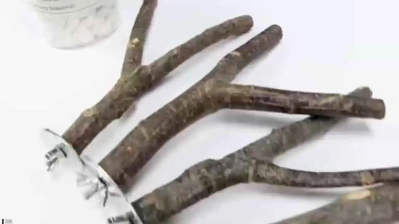 Brinquedos de Madeira Natural Suporte e Balanço Multi Galhos para Pássaros | Caprioli Inter Acessórios gaiola 8 unidades