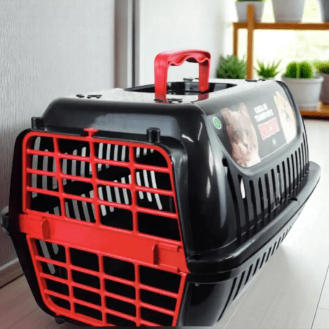 Caixa de Transporte para Gatos Segura e Estilosa | Caprioli Shop transporte gatos