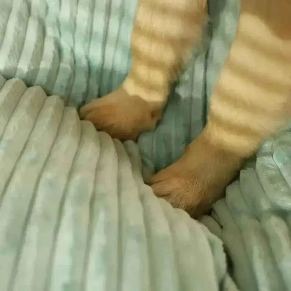 Cama Grande para Cães Conforto e Estilo Sofisticado | Caprioli Inter Acessórios Pets