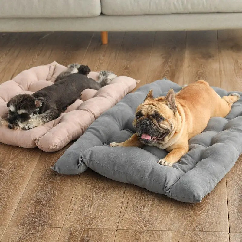 Cama Multifuncional para Pets com 3 Usos e Veludo – Tamanhos P a GG | Caprioli Inter Caminha casinha Cachorro