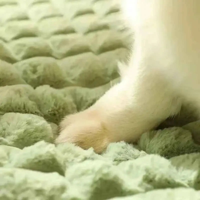 Cama Ortopédica Lavável para Pets Conforto Premium | Caprioli Inter Acessórios