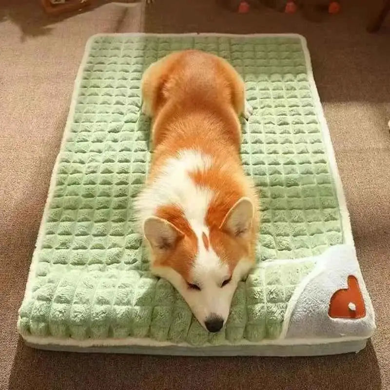 Cama Ortopédica Lavável para Pets Conforto Premium | Caprioli Inter Acessórios