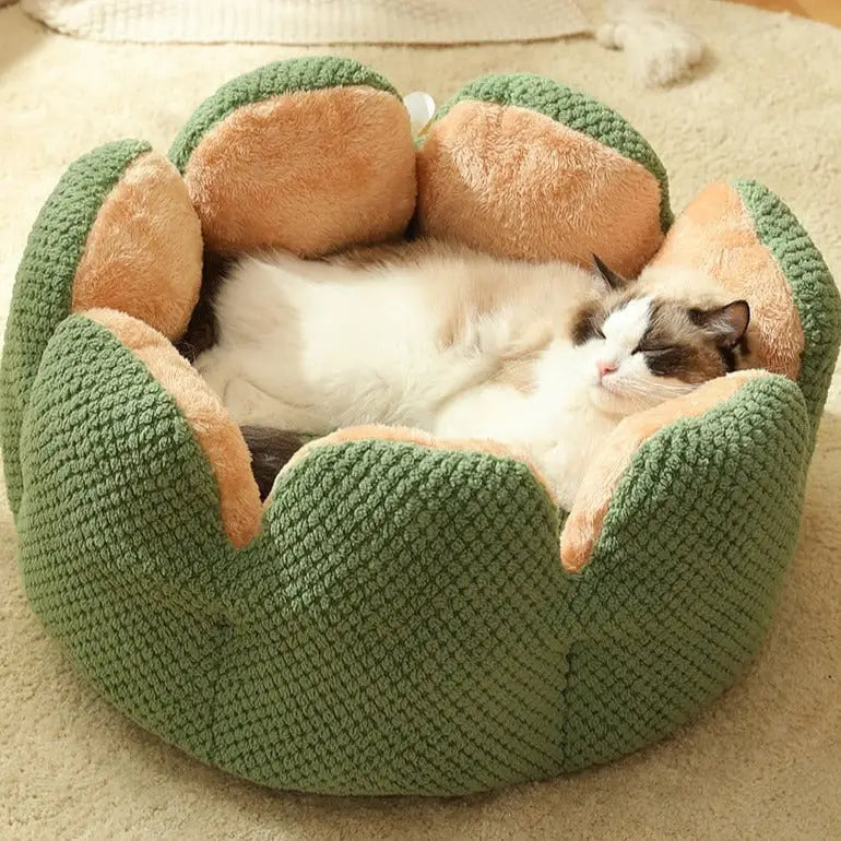Cama Pet em Veludo Florzinha com Tamanho Variado e Frete Grátis | Caprioli Shop Puff Verde / P