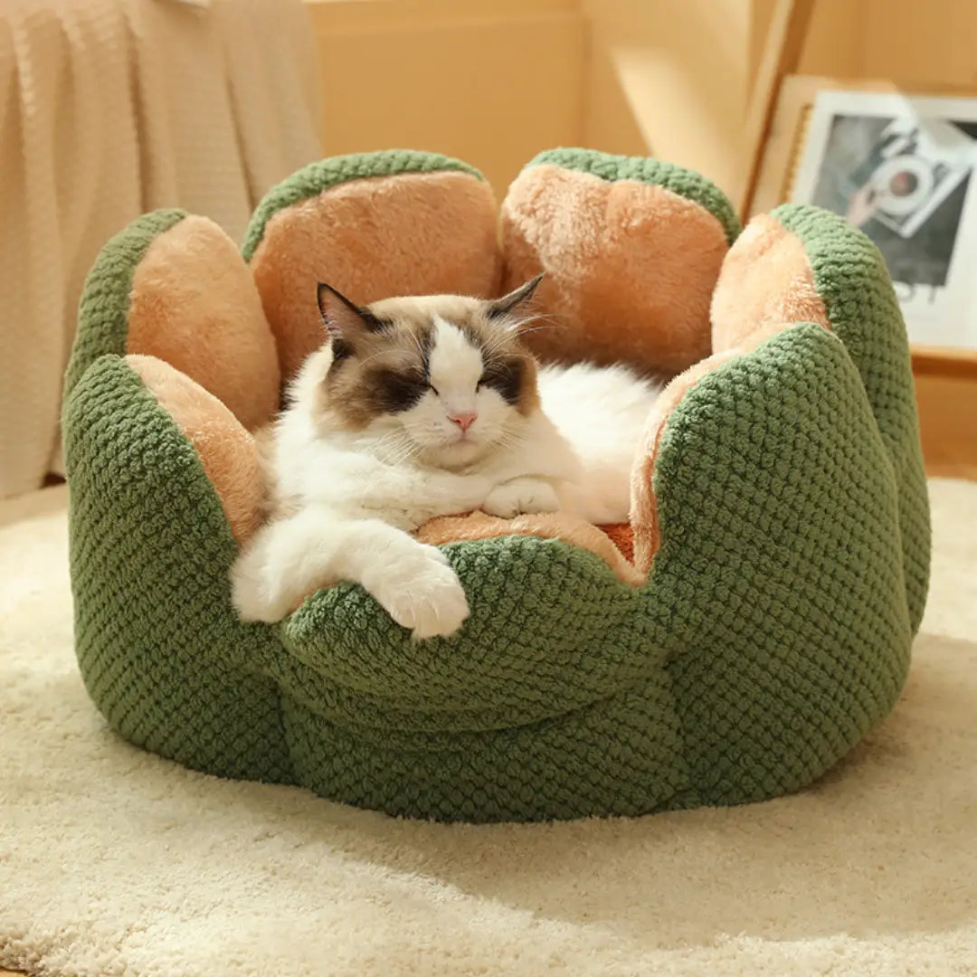 Cama Pet em Veludo Florzinha com Tamanho Variado e Frete Grátis | Caprioli Shop Puff