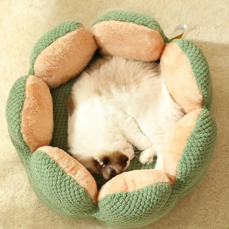Cama Pet em Veludo Florzinha com Tamanho Variado e Frete Grátis | Caprioli Shop Puff