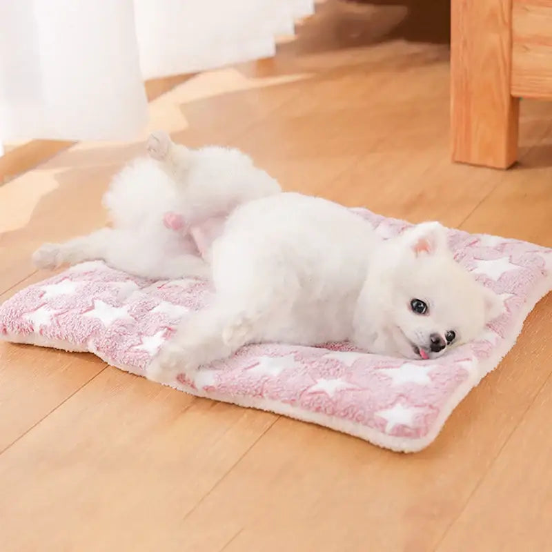 Cama tapete para pets em algodão com várias cores e tamanhos | Caprioli Inter Caminha casinha Cachorro