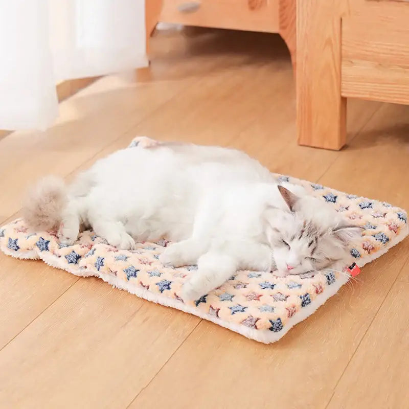 Cama tapete para pets em algodão com várias cores e tamanhos | Caprioli Inter Caminha casinha Cachorro