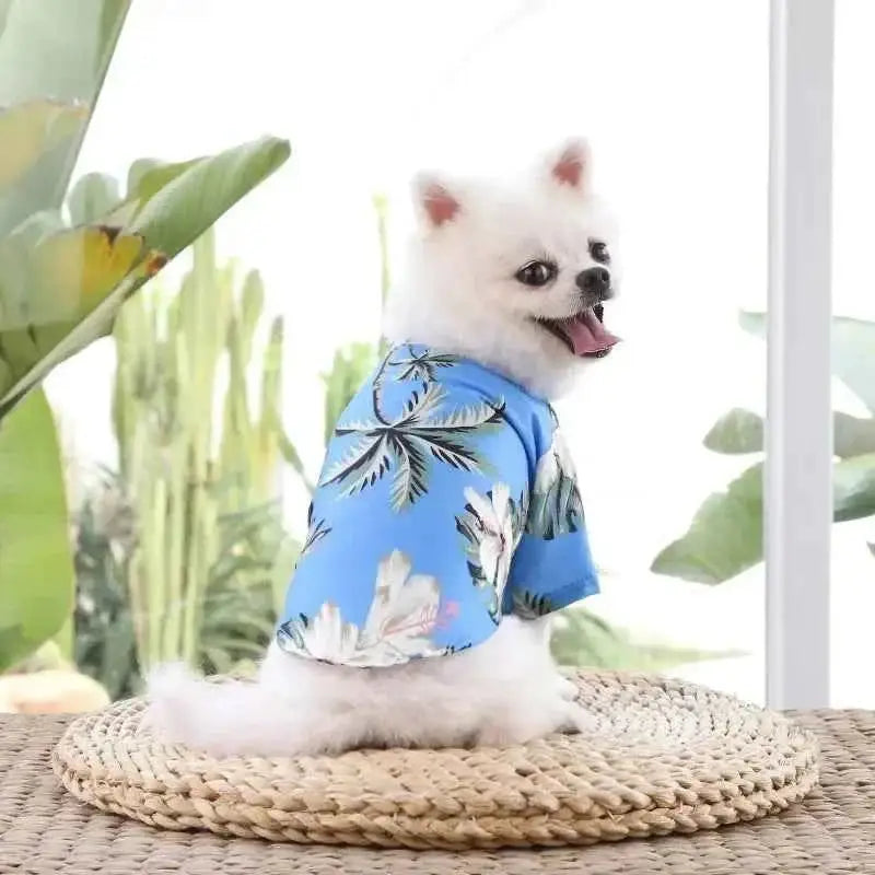 Camisa Havaiana para Cães Estilo e Conforto de Verão | Caprioli Shop Acessórios Pets