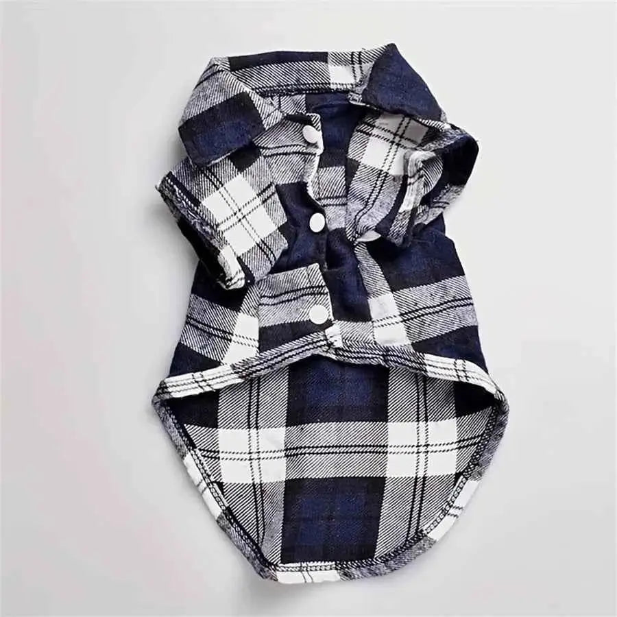 Casaco xadrez sofisticado para Gatos | Caprioli Shop Acessórios Pets Azul / XS