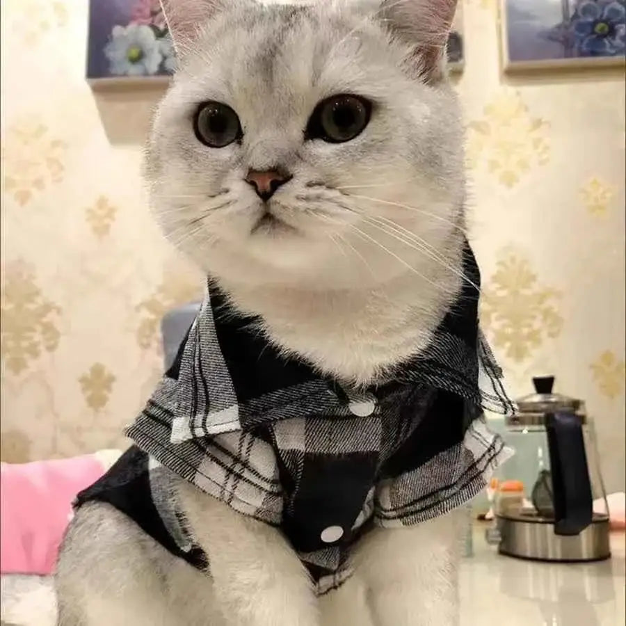 Casaco xadrez sofisticado para Gatos | Caprioli Shop Acessórios Pets