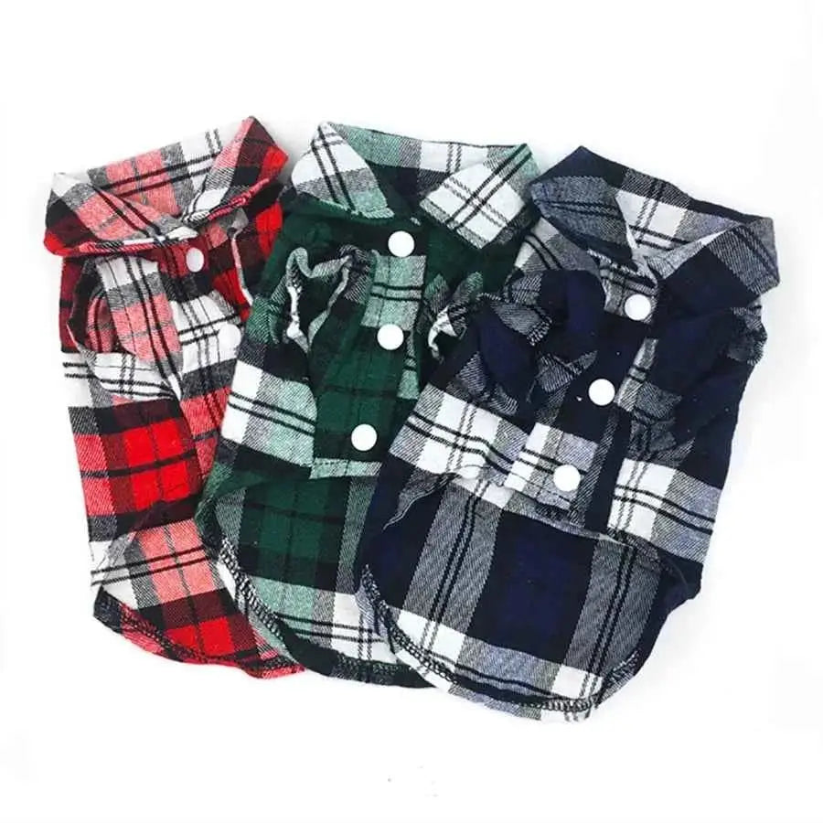 Casaco xadrez sofisticado para Gatos | Caprioli Shop Acessórios Pets