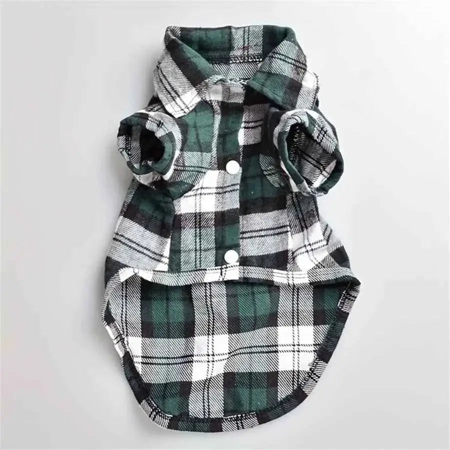 Casaco xadrez sofisticado para Gatos | Caprioli Shop Acessórios Pets Verde / XL