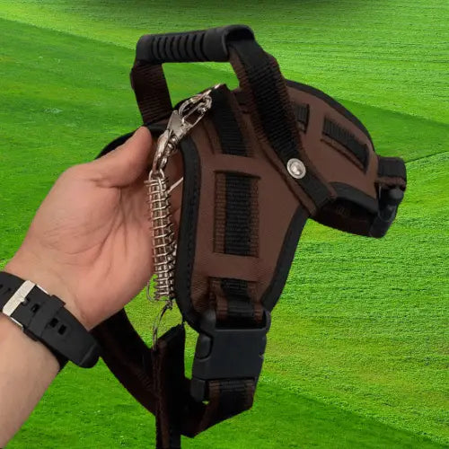 Coleira Reforçada para Cachorro Grande Estilo e Segurança | Caprioli Shop Acessórios Pets MARROM / PP