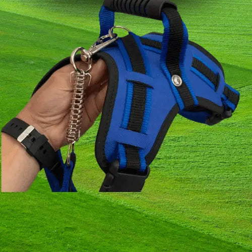 Coleira Reforçada para Cachorro Grande Estilo e Segurança | Caprioli Shop Acessórios Pets AZUL / PP